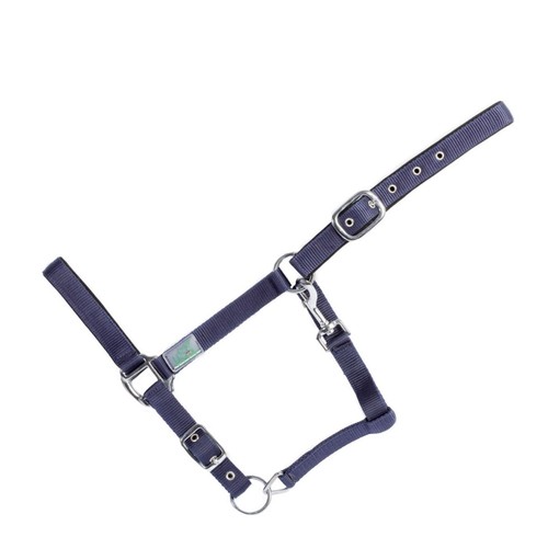 Halfter für pferde - halfter, warmblut