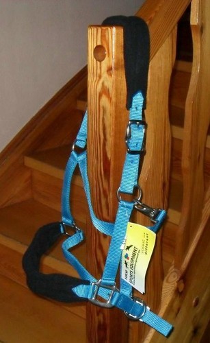 Halfter native gepolstert - halfter,