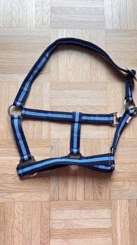 Nylonhalfter shetty blau - ,