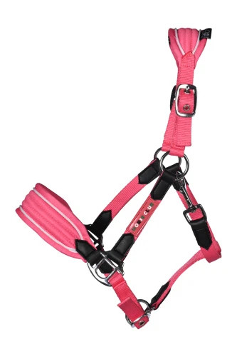 Halfter maui für shettys - ,