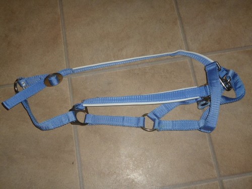 Halfter hellblau l - hellblau,