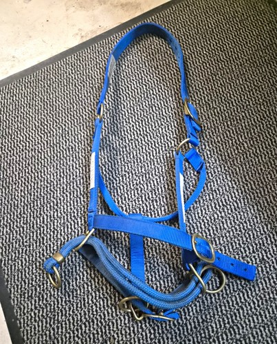 Blaues nylon pferdehalfter aus - blaues,