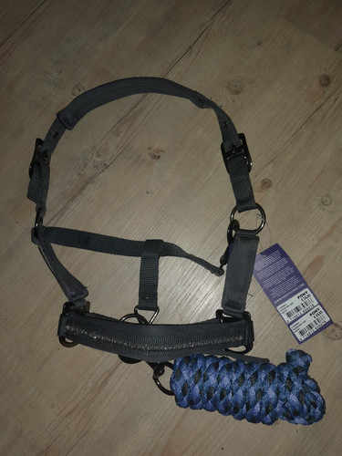 Pony halfterset blau - halfterset, mit