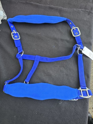 Neu halfter mit breitem - neu,,