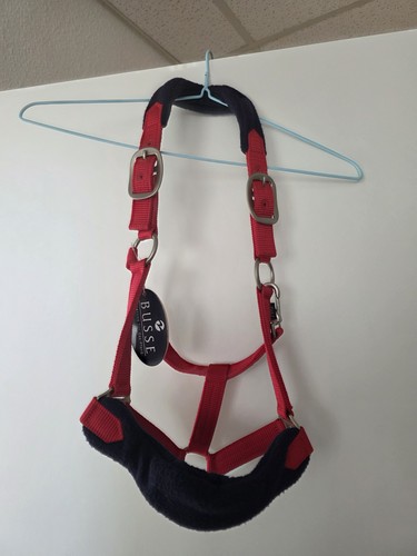 Neues halfter mit - neues,