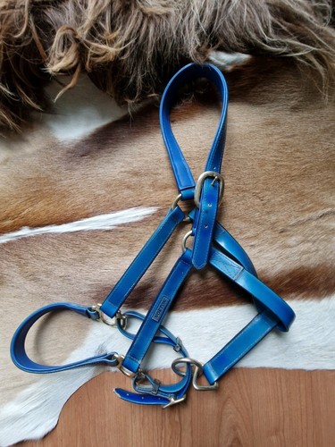Norton halfter cob blau - halfter,