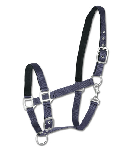 Halfter satin stallhalfter - halfter,