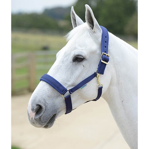 Halfter comfort halter - comfort,