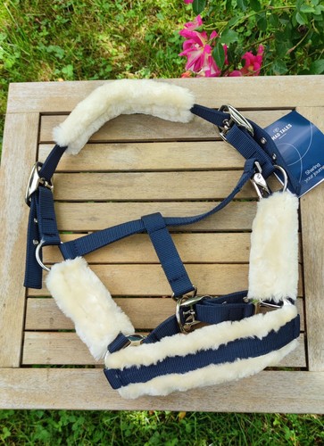 Halfter pony mit - pony,