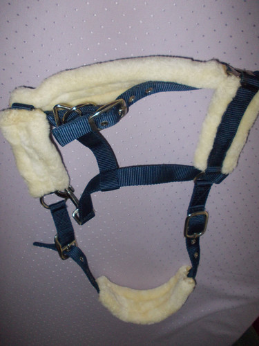 Showmaster halfter blau - showmaster,