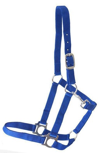 Halfter nylonhalfter rot - nylonhalfter, blau