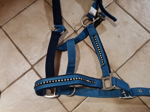 Halfter mit strick - halfter,