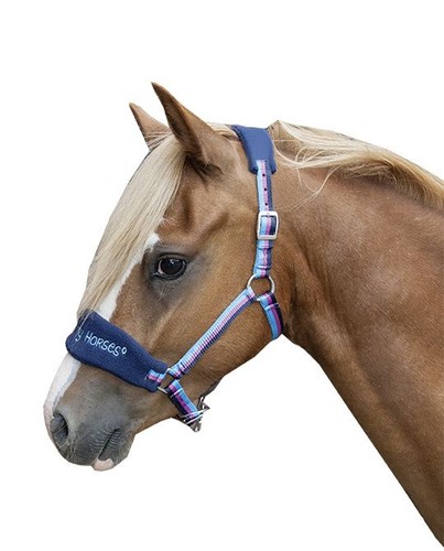 Halfter shetty gepolstert - shetty, pony