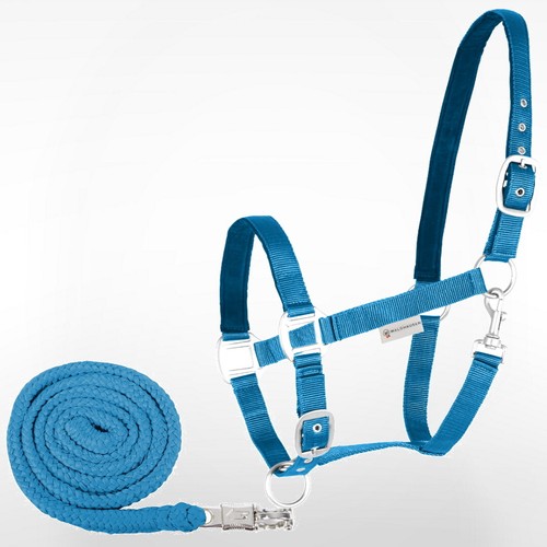 Pferde halfter strick set - pferde,