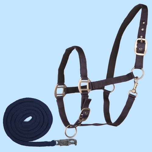 Pferde halfter strick set - strick,