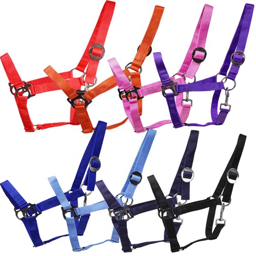 Sport halfter nylon mit - sport,